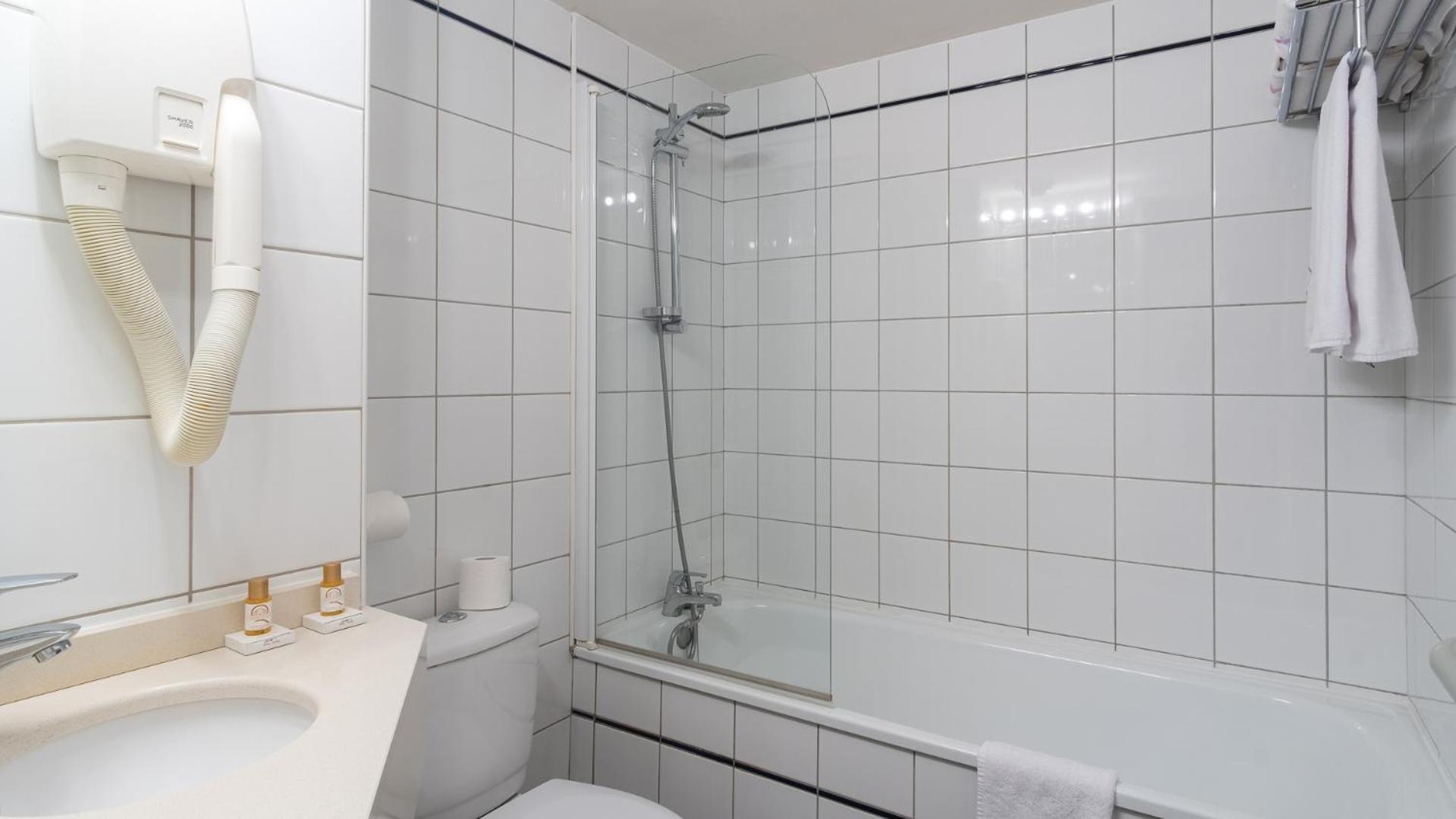 Ours Blanc - Centre Toulouse