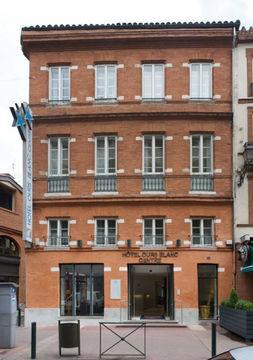 Ours Blanc - Centre