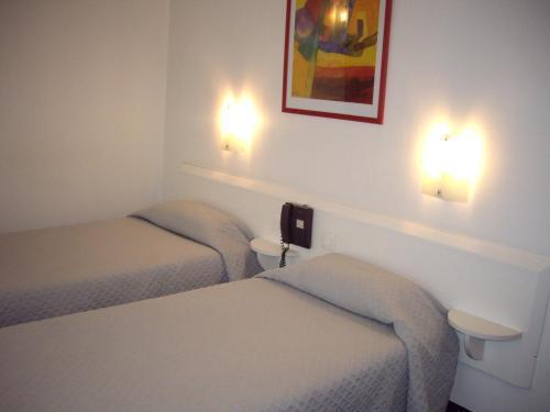 Ours Blanc - Centre